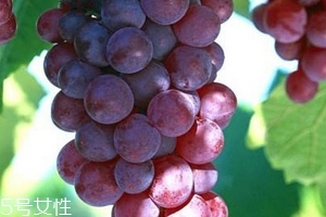 葡萄籽會推遲月經(jīng)嗎？一般不會