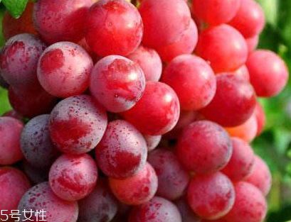 葡萄籽會(huì)發(fā)胖嗎？不會(huì)發(fā)胖
