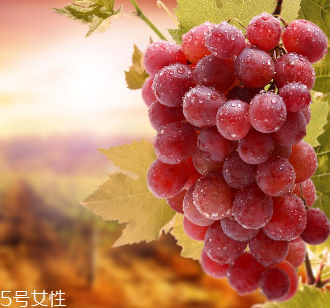 葡萄籽會影響睡眠嗎？這個肯定不會