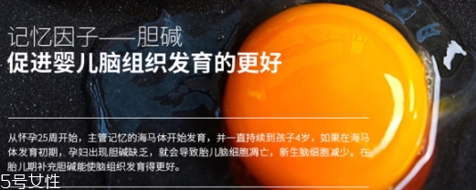 黃金素和dha可以一起吃嗎？