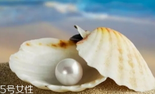 南洋珍珠是海水珍珠嗎？