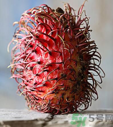 紅毛丹的核能吃嗎？紅毛丹的核可以吃嗎？