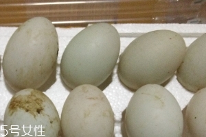 鴨蛋是酸性還是堿性？鴨蛋的性質(zhì)
