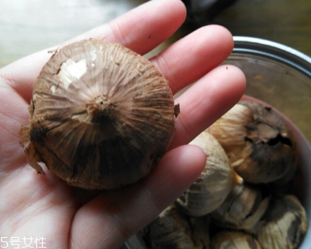 黑蒜的價格多少錢一斤？黑蒜很貴嗎？
