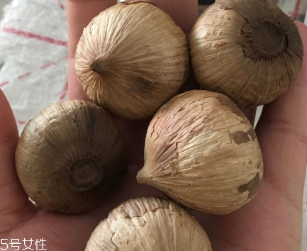 黑蒜怎么吃？黑蒜最好吃的吃法
