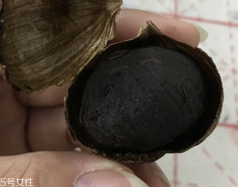 黑蒜是種植出來的嗎？黑蒜怎么來的