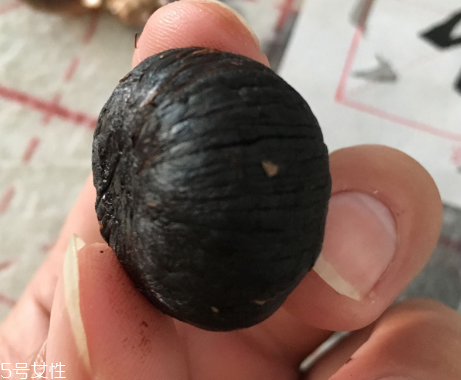 黑蒜是種植出來的嗎？黑蒜怎么來的