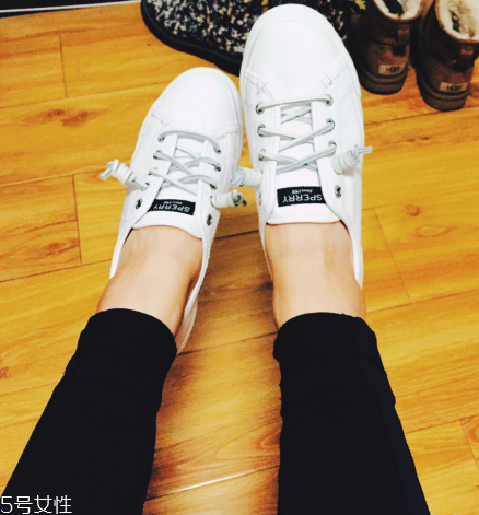 sperry鞋子多少錢？sperry鞋子的價位