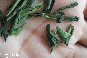 六安瓜片是紅茶還是綠茶？