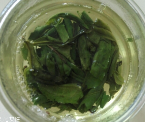 六安瓜片是紅茶還是綠茶？