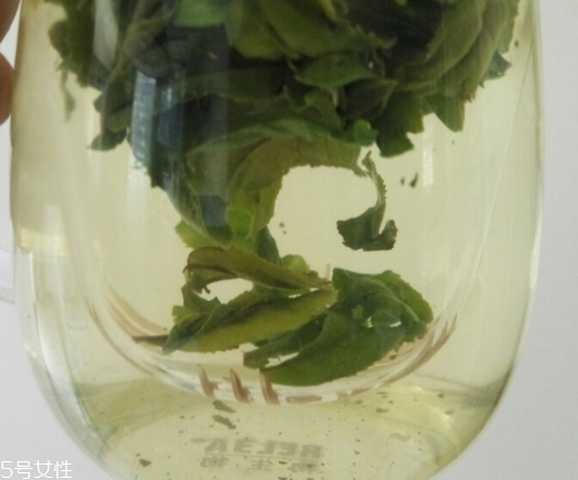 六安瓜片是紅茶還是綠茶？