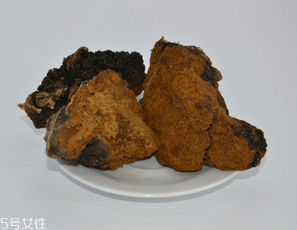 樺樹茸怎么泡水喝？樺樹茸泡水喝法