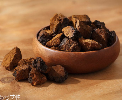 樺樹茸是中藥嗎？樺樹茸屬于中藥嗎