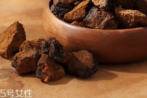 樺樹(shù)茸是樹(shù)黃嗎？樺樹(shù)茸屬于什么