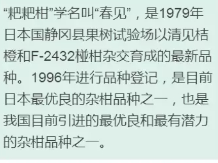 枇杷柑是丑橘嗎？枇杷柑和丑橘的區(qū)別