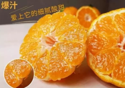 丑八怪可以放冰箱嗎？丑八怪怎么保存
