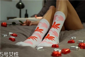 楓葉襪子正品多少錢？楓葉襪子價格詳情