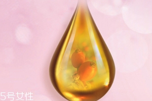 玫瑰果油可以天天用嗎？玫瑰果油多久用一次