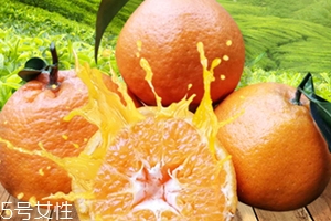 春見是什么水果？春見是丑八怪還是耙耙柑