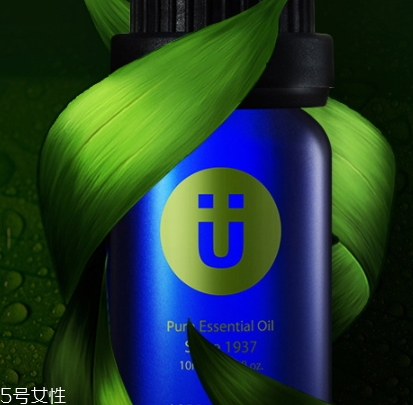 尤加利精油味道是什么？好聞嗎