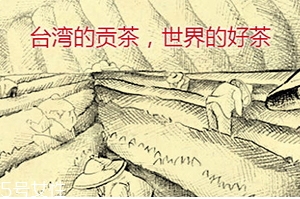 四云奶蓋貢茶哪個(gè)好喝？四云奶蓋貢茶點(diǎn)單攻略