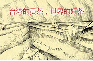 四云奶蓋貢茶哪個(gè)好喝？四云奶蓋貢茶點(diǎn)單攻略