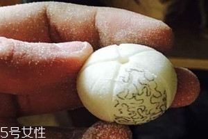 象牙果怎么盤(pán)玩 象牙果怎么保養(yǎng)