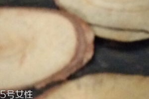 東革阿里是中藥嗎？東革阿里是什么？