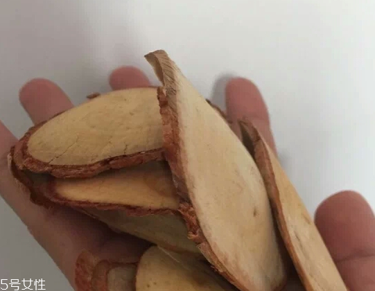 東革阿里是中藥嗎？東革阿里是什么？