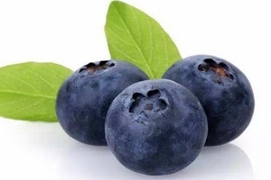 花青素是雌激素嗎？花青素是什么？