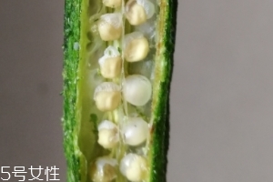 秋葵干好吃嗎？秋葵干怎么吃？