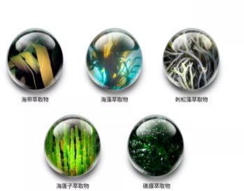 jm防曬噴霧什么味道？jmsolution防曬噴霧好聞嗎？