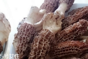 羊肚菌是什么東西？羊肚菌能吃嗎？