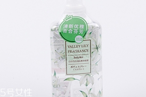 香體噴霧哪個牌子好？香體噴霧排行榜