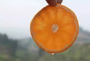 青見柑橘上火嗎？青見柑橘一天吃幾個好
