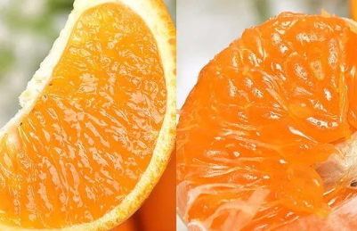 青見柑橘好吃嗎？青見柑橘酸嗎