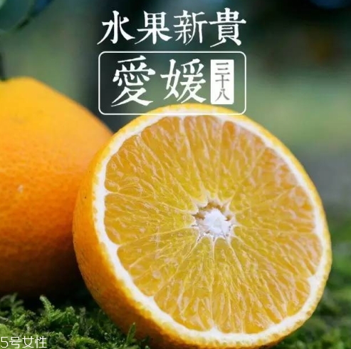 愛媛38號(hào)多少錢一斤？愛媛38號(hào)柑桔市場(chǎng)行情