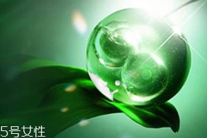 膏狀面膜好還是片狀面膜好？