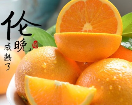 倫晚臍橙和夏橙哪個(gè)好？倫晚臍橙和其他橙子的區(qū)別