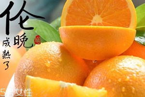 倫晚臍橙口感是酸的還是甜的？倫晚臍橙好吃嗎