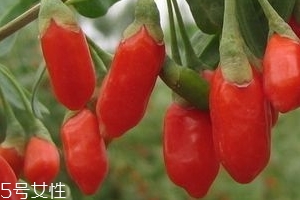 寧夏枸杞子多少錢一斤？寧夏枸杞價(jià)格
