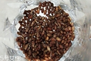 青稞茶怎么沖泡？青稞茶沖泡方法