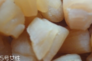 干貝是海鮮嗎？干貝是什么動(dòng)物做的？