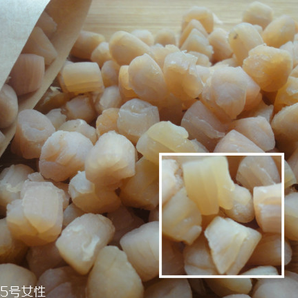干貝是海鮮嗎？干貝是什么動(dòng)物做的？