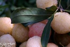 白楊梅好還是紅楊梅好吃？白楊梅和紅楊梅對比