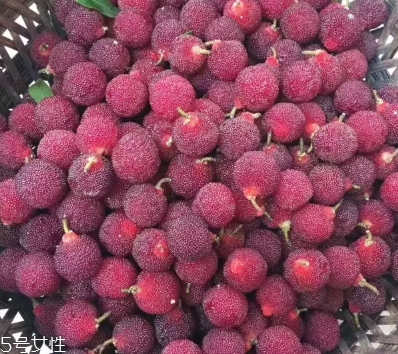 烏酥楊梅多少錢一斤？烏酥楊梅好吃嗎