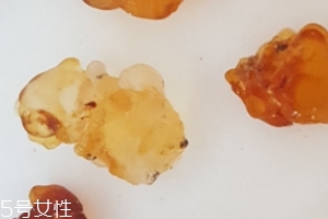 桃膠能生吃嗎？生吃桃膠可以嗎？
