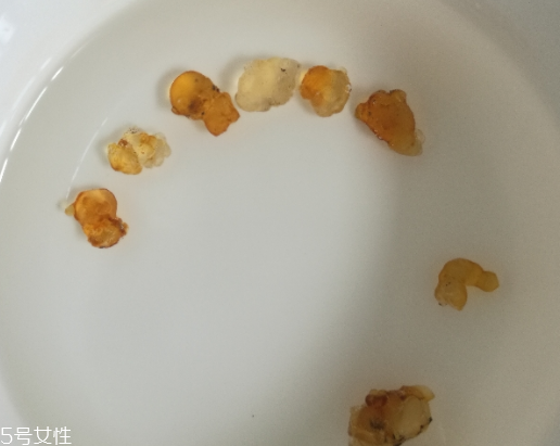 桃膠能和紅糖一起煮嗎？桃膠煮紅糖好嗎？