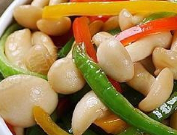 白玉菇怎么吃？白玉菇怎么做好吃