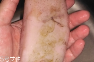魷魚是海鮮嗎？魷魚屬于海鮮嗎？
